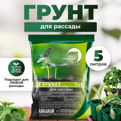 ���� ����� (�����) ��� ������� ���� �������/ ����������� ������, 5 �, ������ �� 500 ���