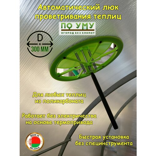    ,    ,  300 .,   2550 