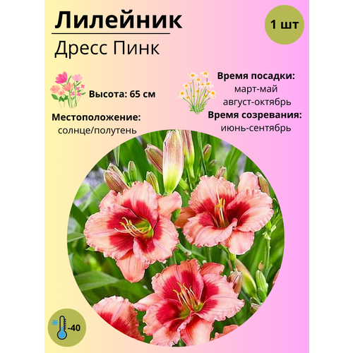 ���� �������� ����� ����, ����������� ����� / ������ 1 ��, ������ �� 380 ���