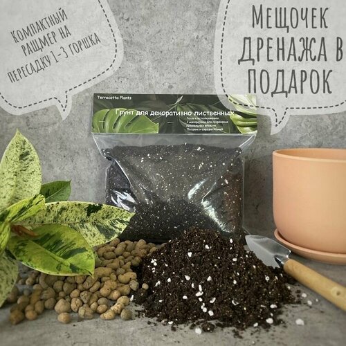 ���� ������� ����� � ���������� ��� ��������� �������� �������� Terracotta Plants, 2,5 �����, ������ �� 359 ���