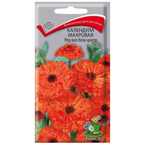 ���� ������ ����� ��������� �������� ��� ��� ���� ����� 0.4 �, ������ �� 37 ���