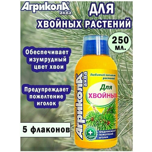 ���� ��������� �������� ���� ��� ������� �������� 250 ��. 5 ��, ������ �� 1265 ���