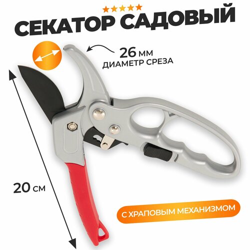 ���� ������� ������� � �������� ����������, ������ �� 1080 ���