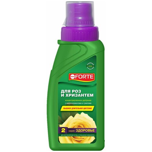   BONA FORTE    ,  , 0.285 , 1 .,   280 