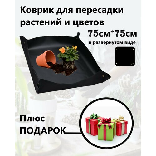 ���� ������ ��� ��������� �������� � ������ ������, ������ �� 580 ���