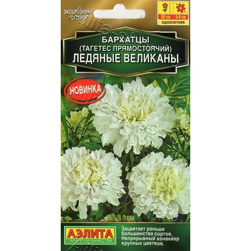 ���� ������ �������� ������� �������� ������������ 7��. (������), ������ �� 55 ���