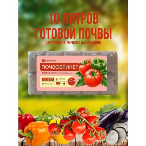 ���� ��������� ����������� �����-����� 10 �., ������ �� 370 ���