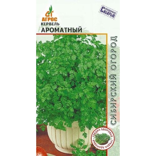 ���� ������ ������� ��������� 0,5� (�����), ������ �� 39 ���