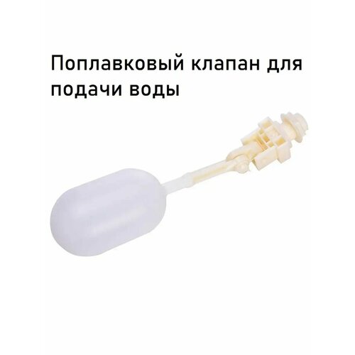 ���� ����������� ������ ��� ������ ����, ������ �� 449 ���