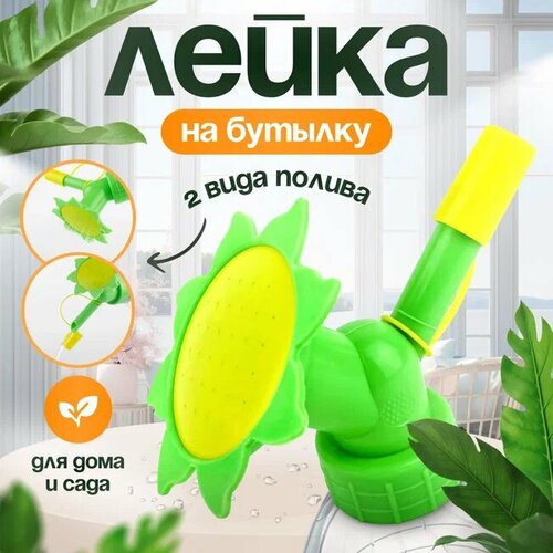 ���� ������� - ����� �� ������� 