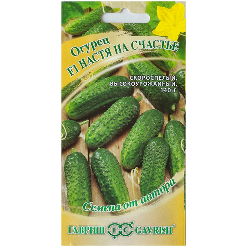 ���� ������. ������ 