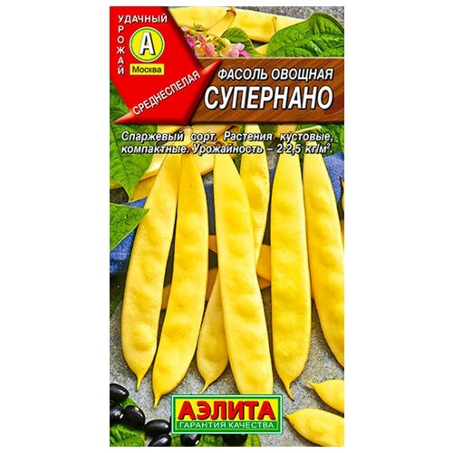 ���� ������. ������ ������� 