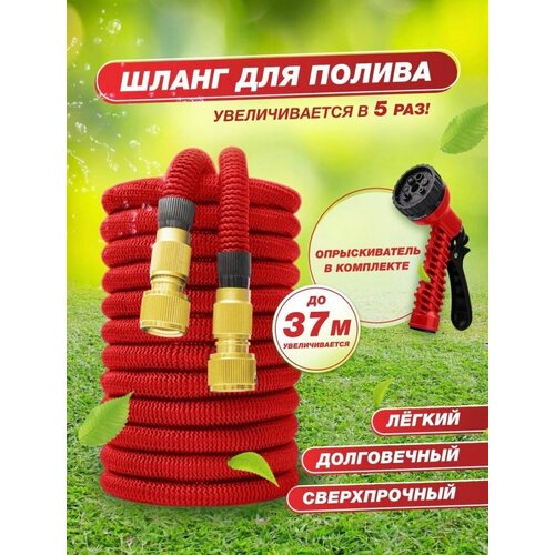 ���� ����� ������� ������� ��������������� 37 ������ ��� ������ � ������������, � ������������� �����������\������� turbyshlang, ������ �� 1299 ���