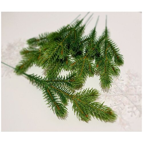 ���� ����� ������ 10 ��. �� ������������� ����� . ���� ������-������, 6 �����. ������ 27 ��., ������ �� 620 ���