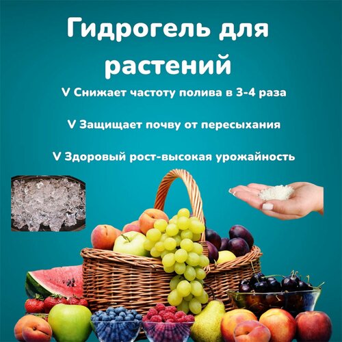 ���� ��������� ��� �������� �� �������� ������ (������� 1-2 ��) 200 ��, ������ �� 450 ���