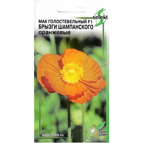 ���� ��� �������������� F1 ������ ����������� ���������, 10 �����, ������ �� 261 ���