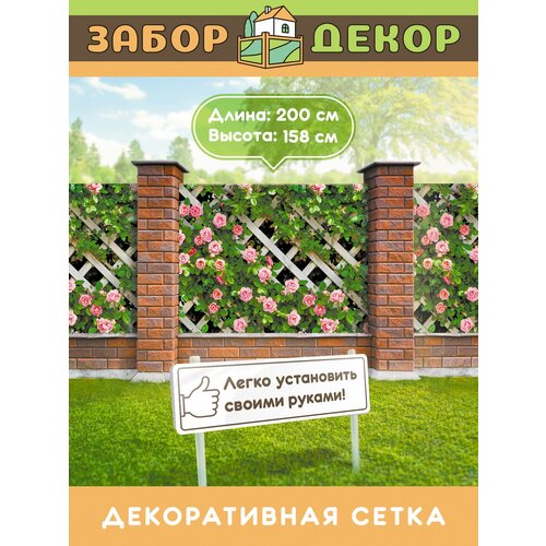 ���� ��������� ��� ������ ��-0613, ������ �� 1136 ���