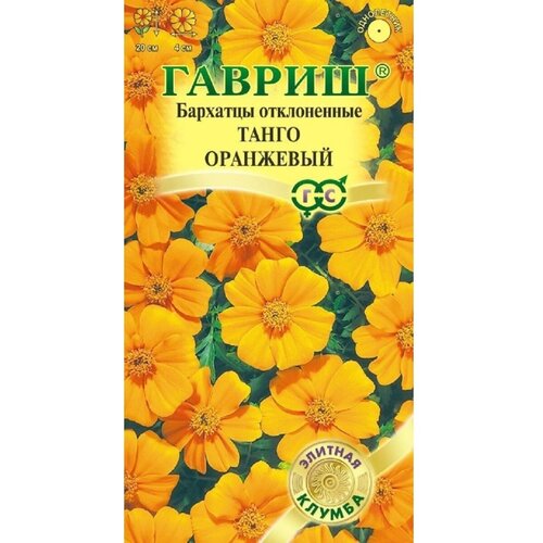 ���� ������ �������� ������ ����� ��������� ������ (10��.), ������ �� 63 ���