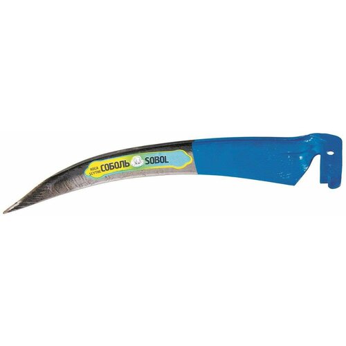 ���� ���� ���� 