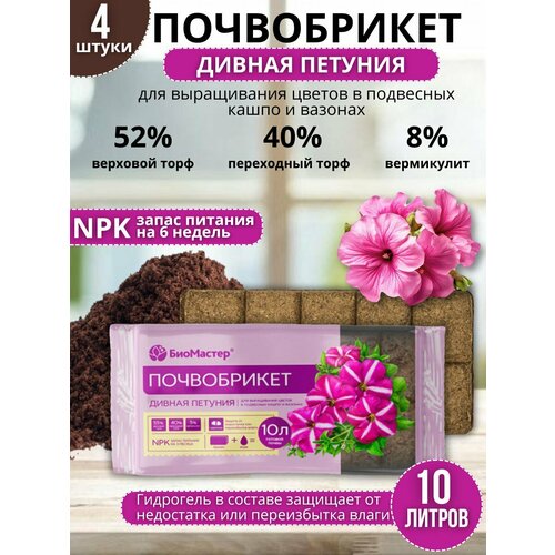 ���� ��������� ����������� ������ ������� � ����������� ��������� 10 ������, 4 ��, ������ �� 1169 ���