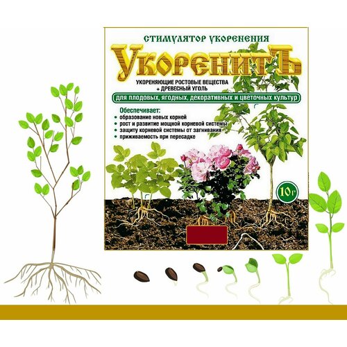 ���� ���������� ���������������� 