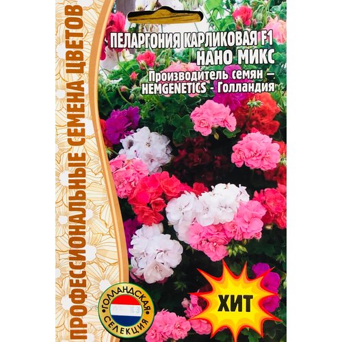 ���� ������ ���������� ���������� 