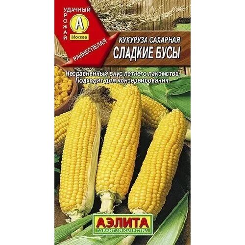 ���� �������� ������� ����, ������ ������ 7�, ������ �� 49 ���