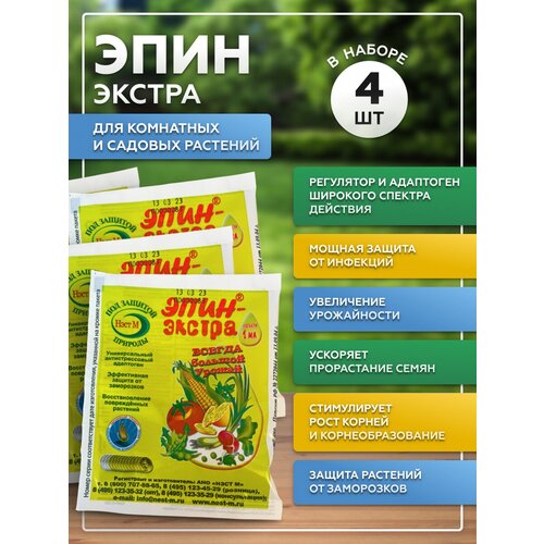 ���� ���� ������ 1�� ���������� ��� �������� , ����� 4��, ������ �� 369 ���