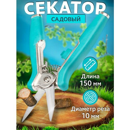 ���� �������� ��� �������, ������ �� 870 ���