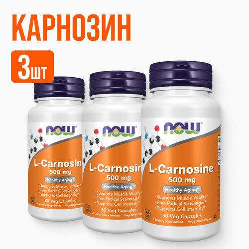 ���� NOW L-�������� 50 ������, 3 ��������, ������ �� 8449 ���