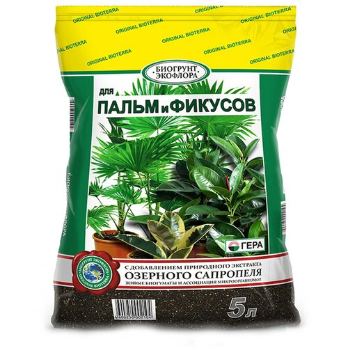 ���� �������� ���� ��� ����� � �������, 5 �, 1.3 ��, ������ �� 284 ���