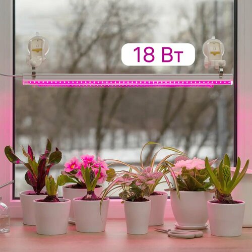     Ritter Planta 5/G5 18 1180   2      ,   1445 