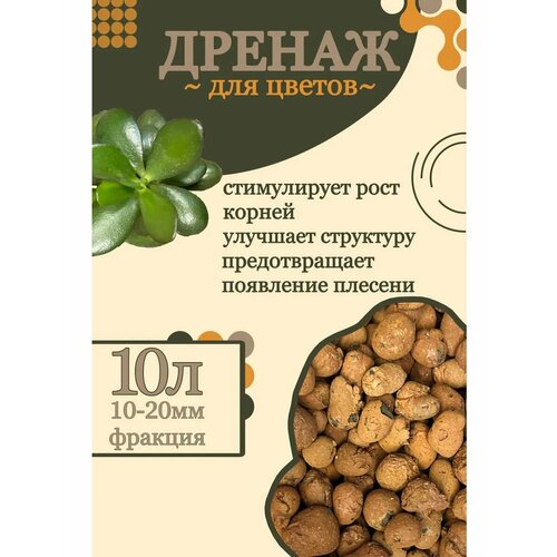 ���� ��������, ������ 10 ������, �� GOLD GARDEN, ��� ��������� � ������������ ��������, ������ �� 559 ���