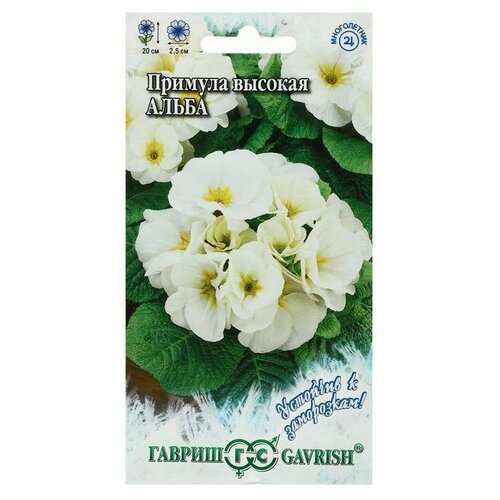 ���� ������ ������ ������� 