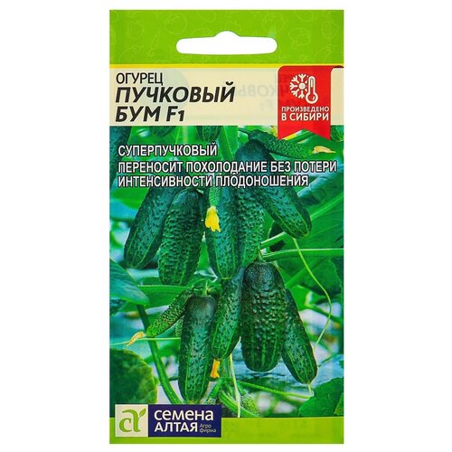 ���� ������ ������ ����� ������ �������� ��� F1 5 ��., ������ �� 211 ���