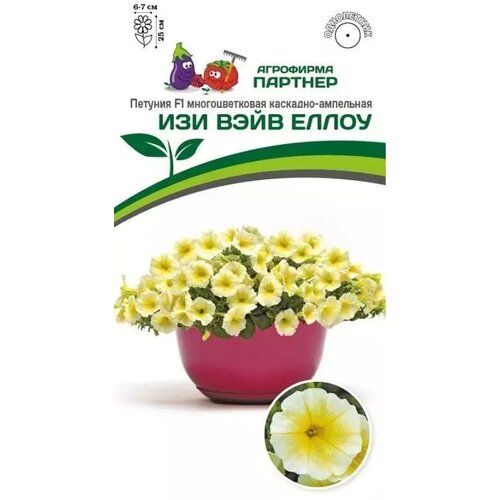 ���� ������ ������� �������������� ��������-��������� 