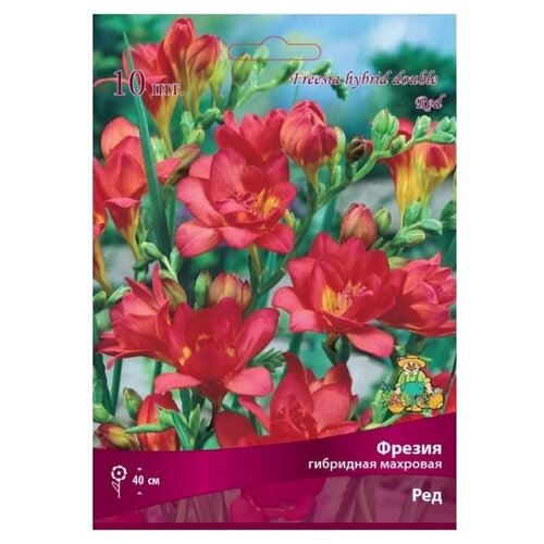  ,     , 10 , ,   399 