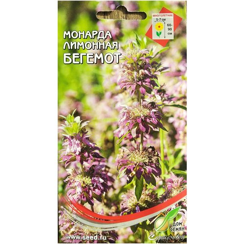 ���� ������ ��� ����� ������� �������� �������, ������ �� 238 ���