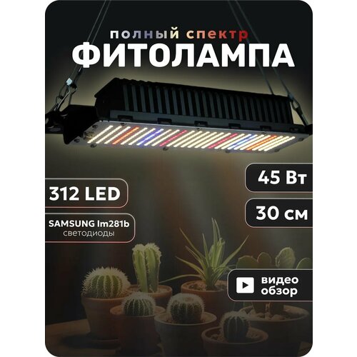 ���� ��������� ��� �������� ������� �������, ������ �� 2337 ���