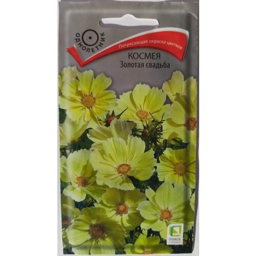 ���� ������ ������ (������) ������� ������� 10 ���� ����� �����, ������ �� 129 ���