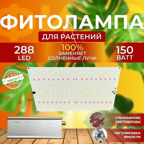 ���� ��������� ��� ����������� �������� ������� ������ ������, ���������������� �������������� ������������ Quantum board, ����� ��������� ��� ������, � �������� 150 ����, ������ �� 8100 ���