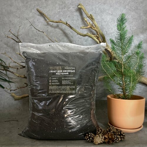 ���� ������� ����� ��� ������� �������� � �������� 10 ������ �� Terracotta Plants, ������ �� 739 ���