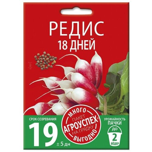 ���� ����� 18 ����, ������ ��������� �����-������� 10�, ������ �� 210 ���