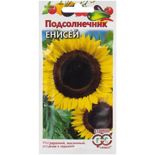 ���� ������ ������������ 