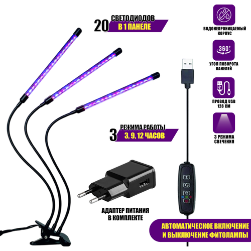 ���� ��������� ��� �������� ������������ �� 3 ������� � ������������ ������� � ��������� �������, ������ �� 1565 ���