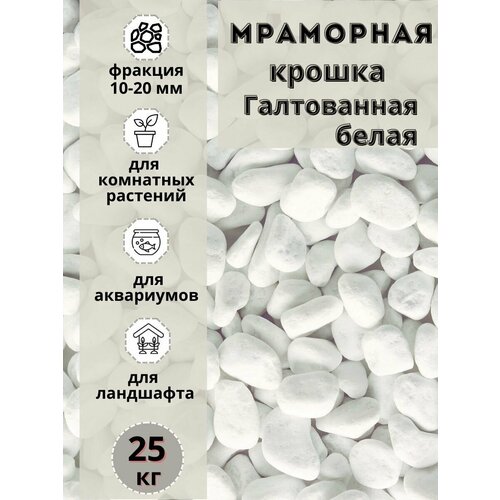 ���� ��������� ������ ����� ����������� 10-20 ������� (25��) ��� ��������� � ������� ��������, ������ �� 1295 ���