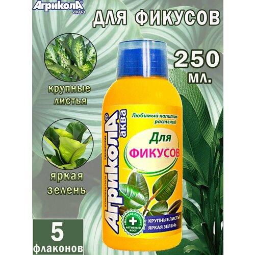 ���� ��������� �������� ���� ��� ������� 250 ��., ������ �� 195 ���