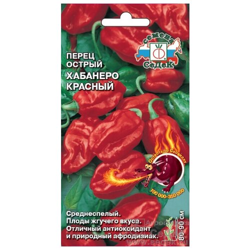 ���� ������ ����� ������� 