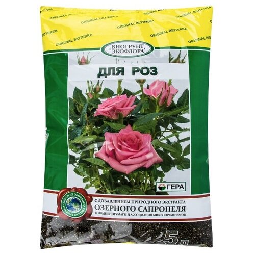 ���� ����� ��� ��� 5 �, ������ �� 285 ���