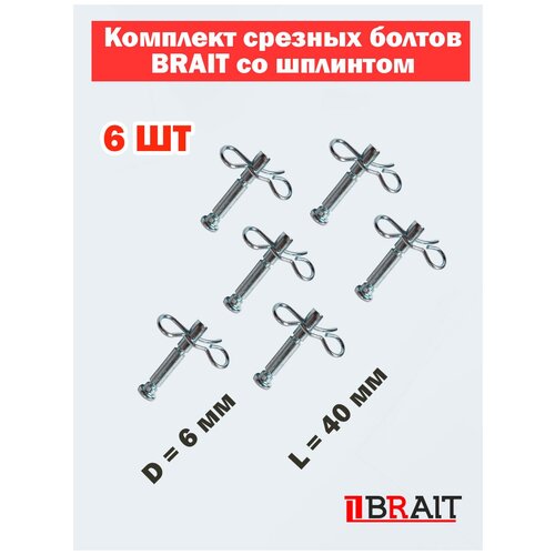     Brait     ,  6 ,  40 , 6 .   -     , -, 